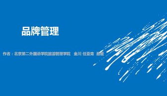 品牌管理 從戰(zhàn)略到視覺呈現(xiàn)